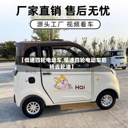 【低速四轮电动车,低速四轮电动车后桥齿轮油】-第2张图片