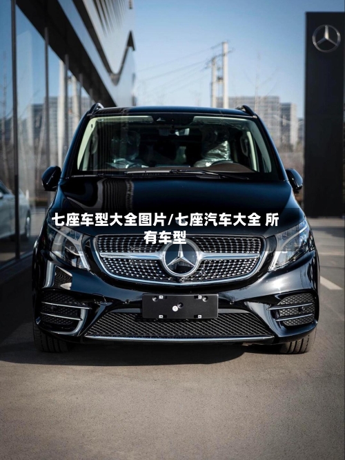 七座车型大全图片/七座汽车大全 所有车型