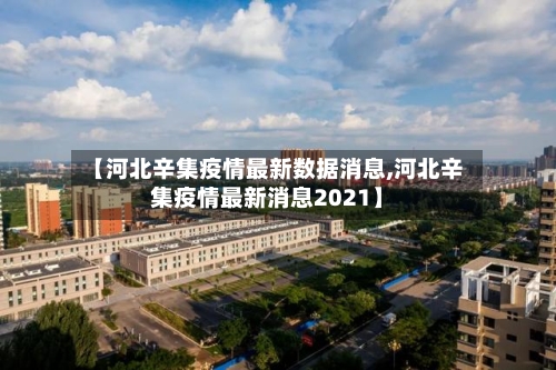 【河北辛集疫情最新数据消息,河北辛集疫情最新消息2021】-第2张图片